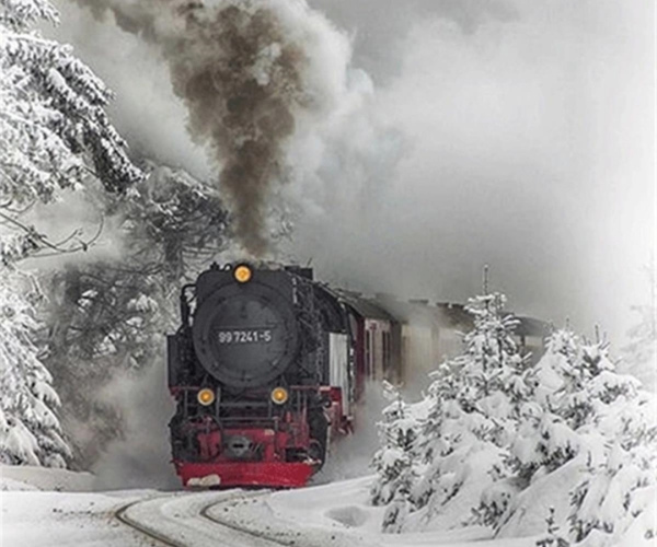 Garvežys nuostabią žiemą
