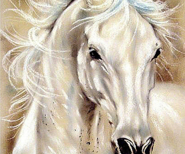 Deimantinė mozaika baltas žirgas 