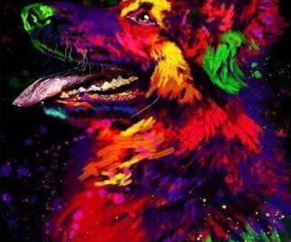 Spalvotas šuo arba spalvų žaismas 